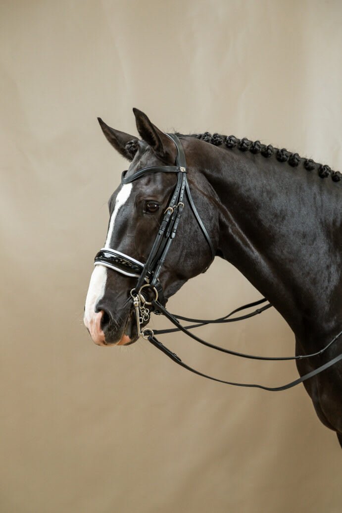 Dyon Patent Large Crank Noseband With White Padding Double Bridle Working By Dyon - Løwenborg - Dy'on