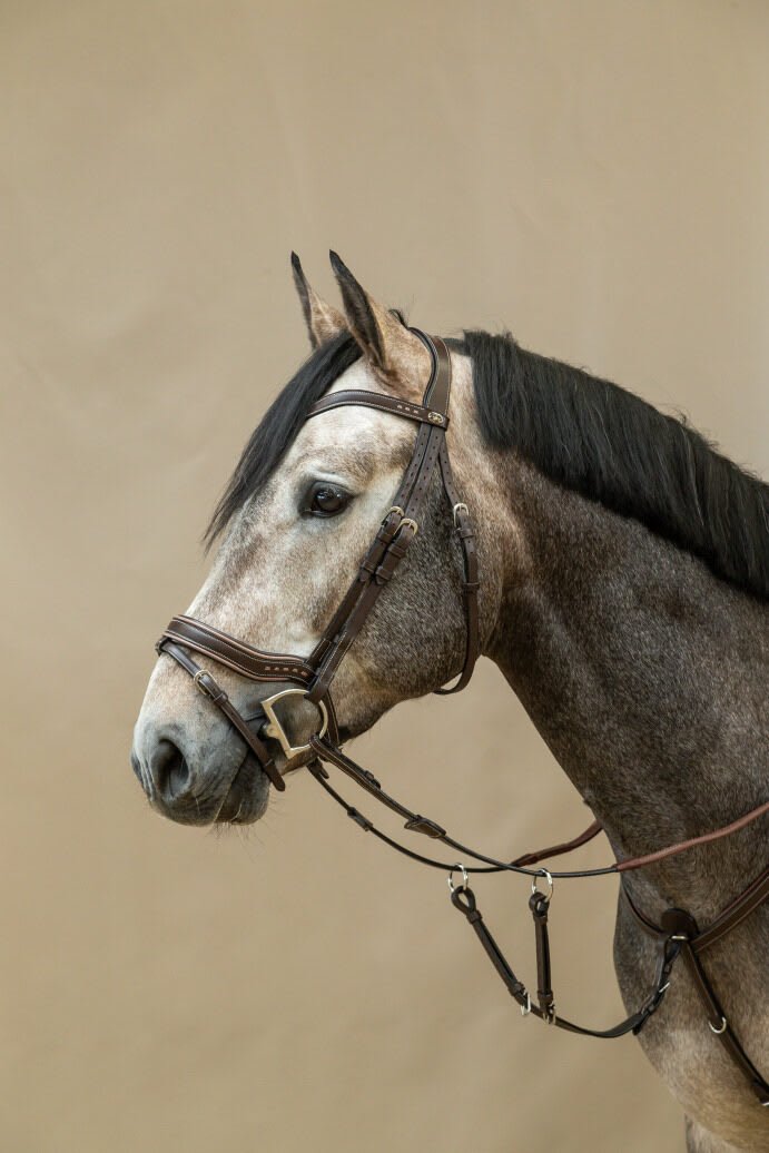 Dyon Working Fit Bridle Working By Dyon - Løwenborg - Dy'on