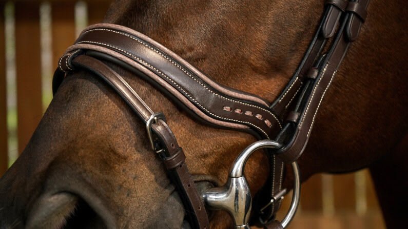Dyon Working Fit Bridle Working By Dyon - Løwenborg - Dy'on