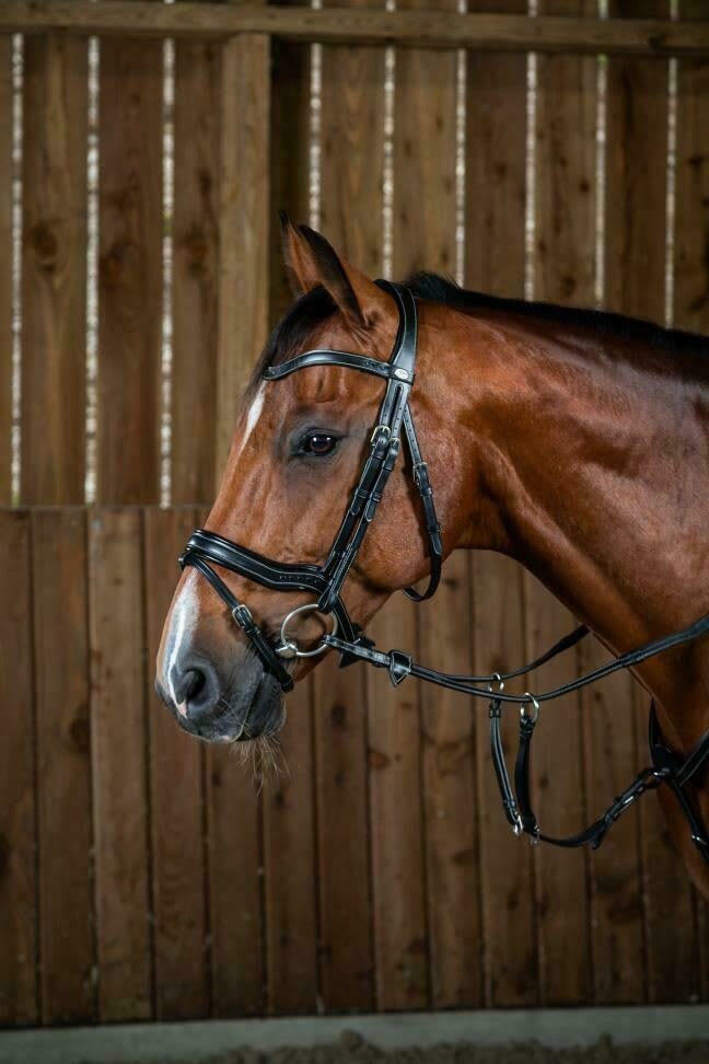 Dyon Working Fit Bridle Working By Dyon - Løwenborg - Dy'on