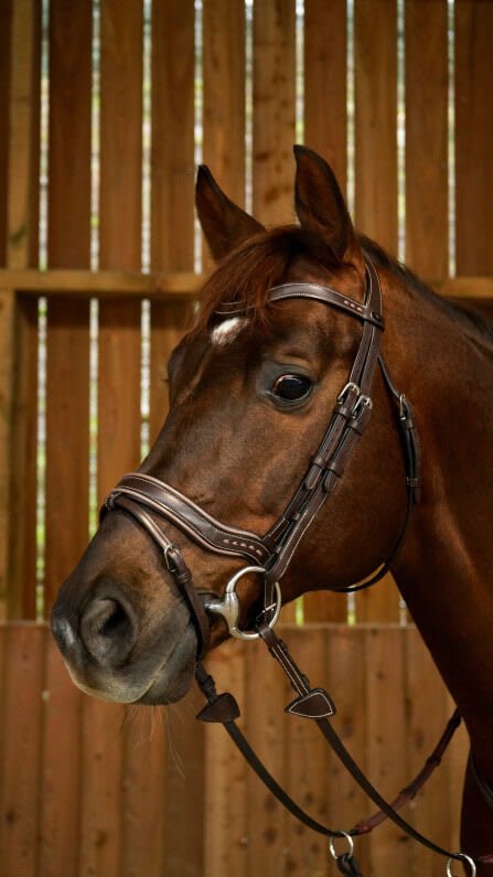 Dyon Working Fit Bridle Working By Dyon - Løwenborg - Dy'on