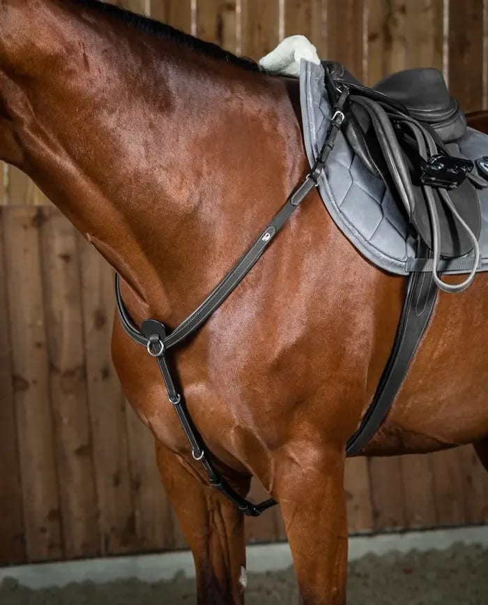 Dyon Breastplate Working By Dyon - Løwenborg - Dy'on