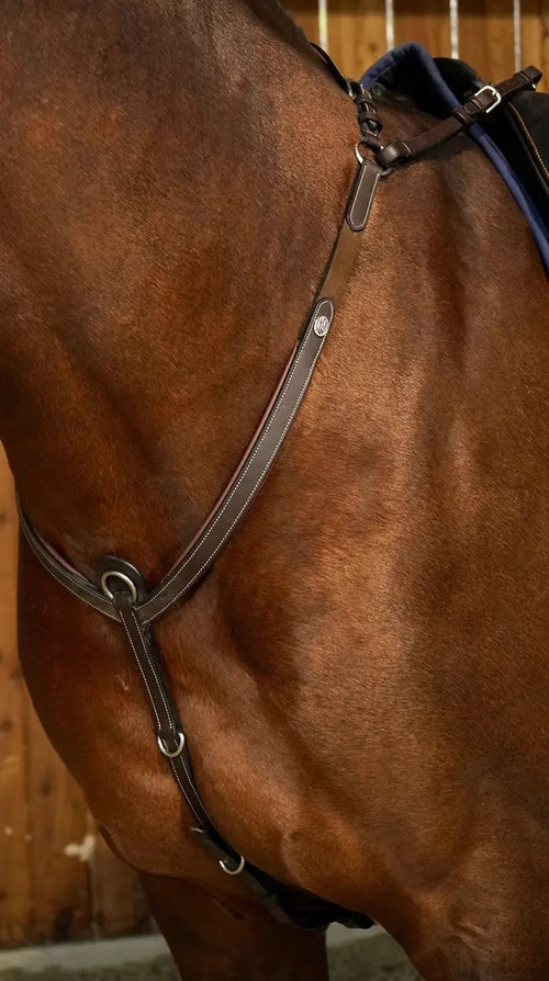 Dyon Bridge Breastplate Working By Dyon - Løwenborg - Dy'on