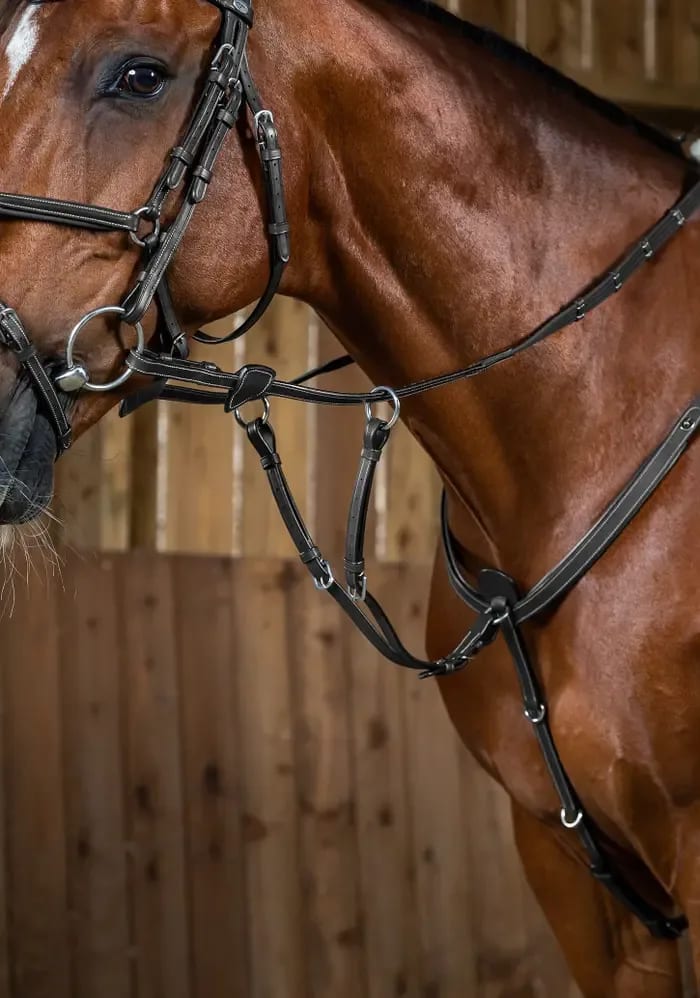 Dyon Running Martingale Attachment Working By Dyon - Løwenborg - Dy'on