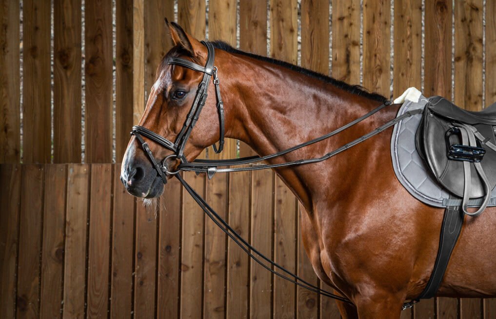 Dyon Full Leather Draw Reins 13mm Working By Dyon - Løwenborg - Dy'on