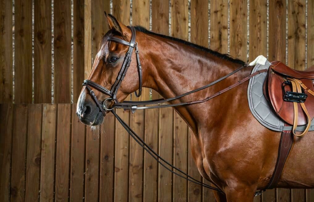 Dyon Full Leather Draw Reins 13mm Working By Dyon - Løwenborg - Dy'on