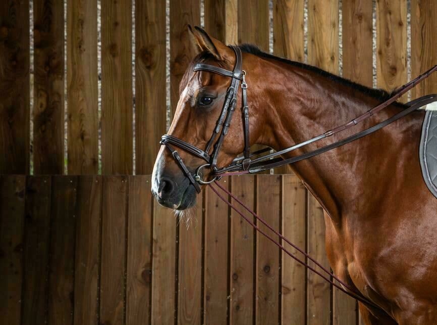 Dyon Leather/Nylon Draw Reins 16mm Working By Dyon - Løwenborg - Dy'on