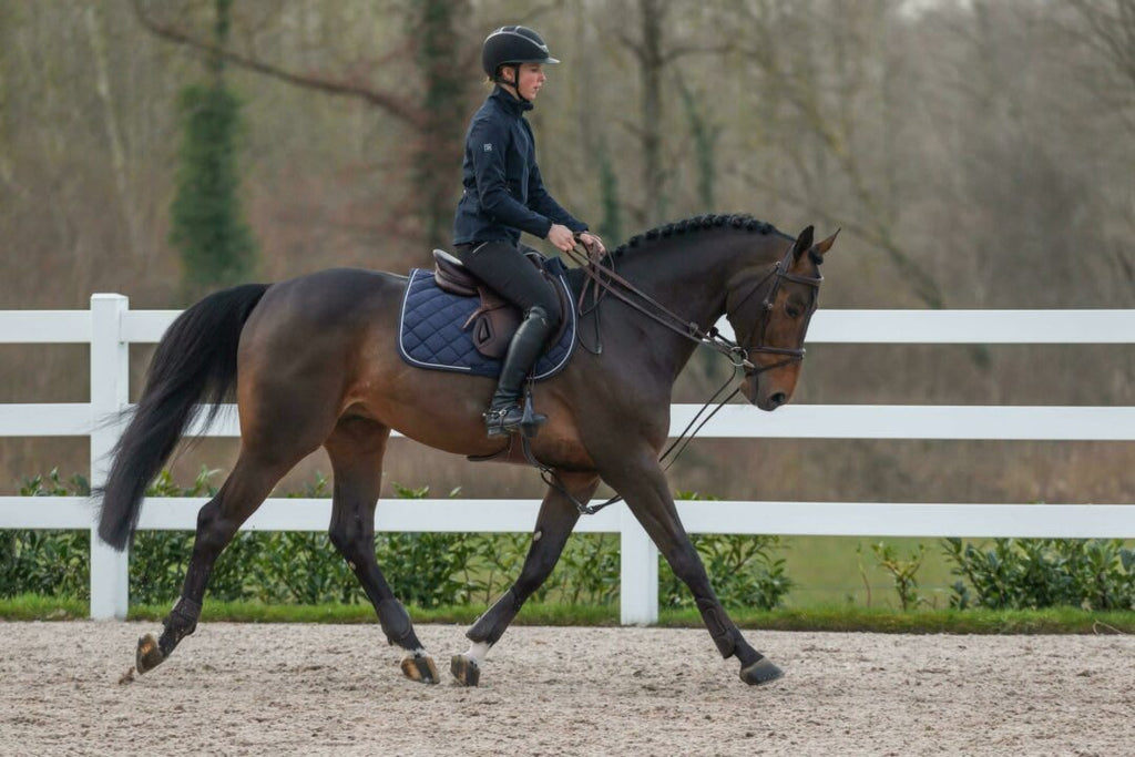 Dyon Hunter Draw Reins 13mm Working By Dyon - Løwenborg - Dy'on