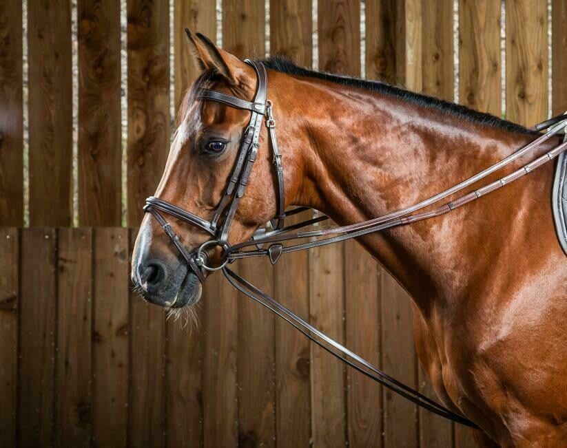 Dyon Hunter Draw Reins 13mm Working By Dyon - Løwenborg - Dy'on