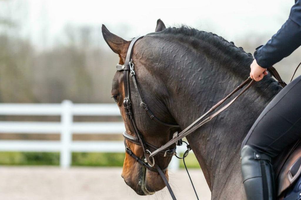 Dyon Hunter Draw Reins 13mm Working By Dyon - Løwenborg - Dy'on