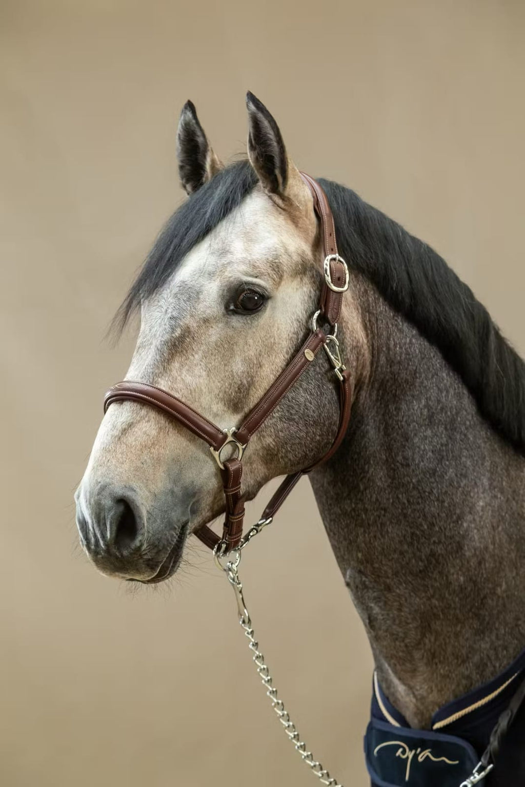 Dyon Soft Leather Head Collar Working By Dyon - Løwenborg - Dy'on