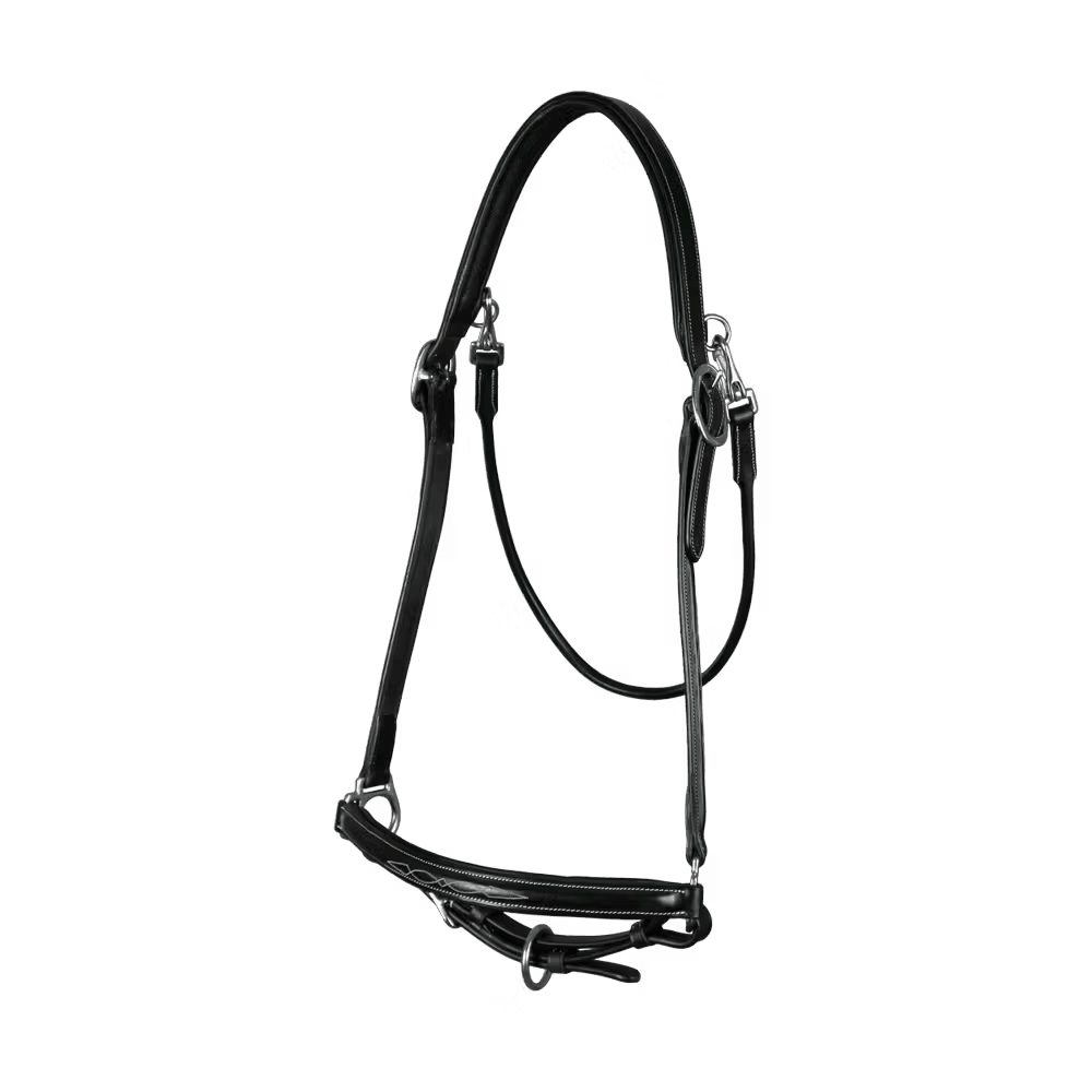 Dyon Grooming Head Collar Working By Dyon - Løwenborg - Dy'on