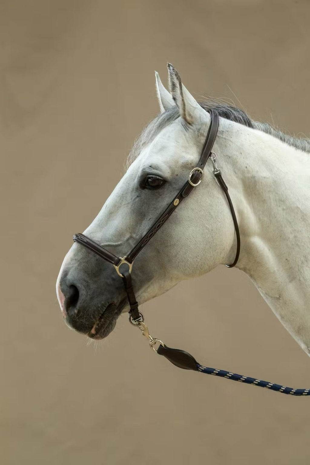 Dyon Grooming Head Collar Working By Dyon - Løwenborg - Dy'on