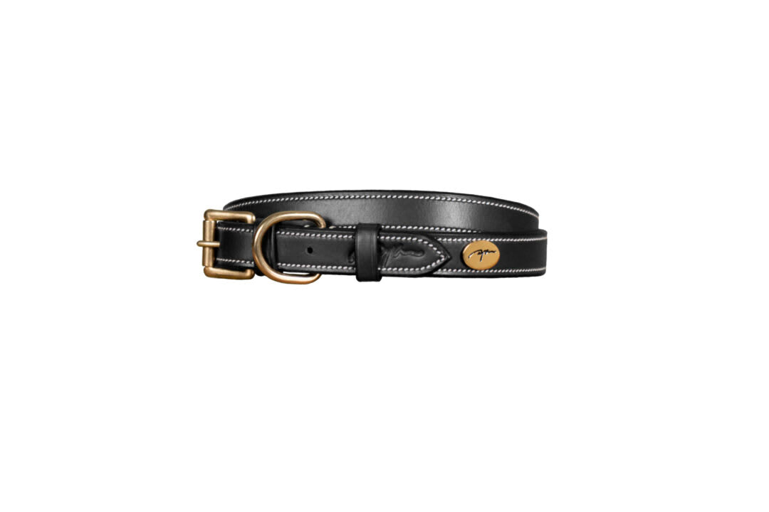Dyon Flat Leather Dog Collar