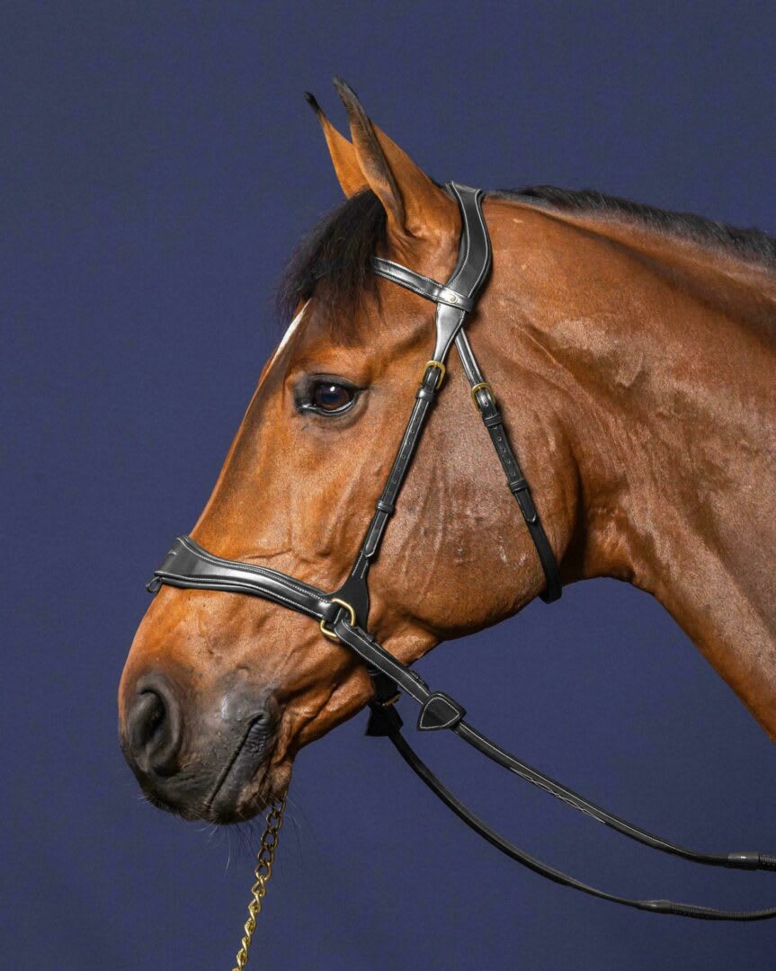 Dyon D Motion Bridle D Collection - Løwenborg - Dy'on