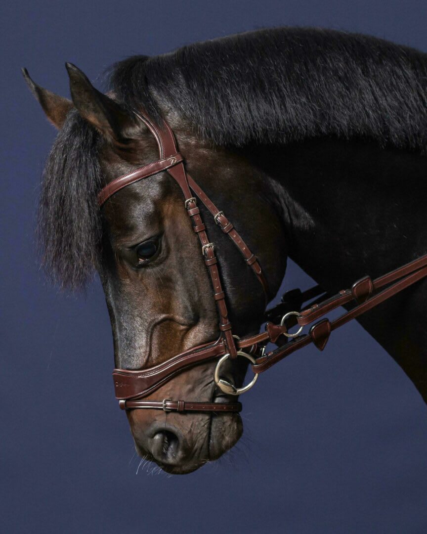Dyon D Motion Bridle New English Collection - Løwenborg - Dy'on
