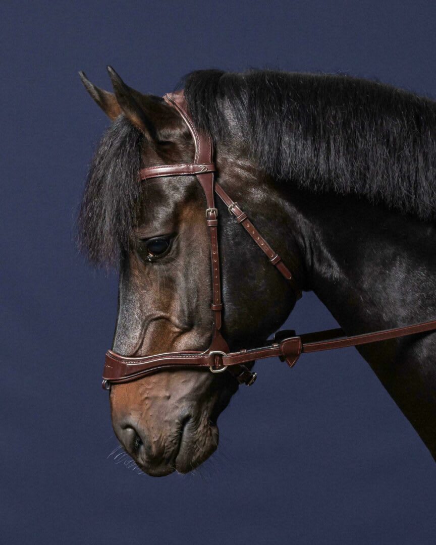 Dyon D Motion Bridle New English Collection - Løwenborg - Dy'on