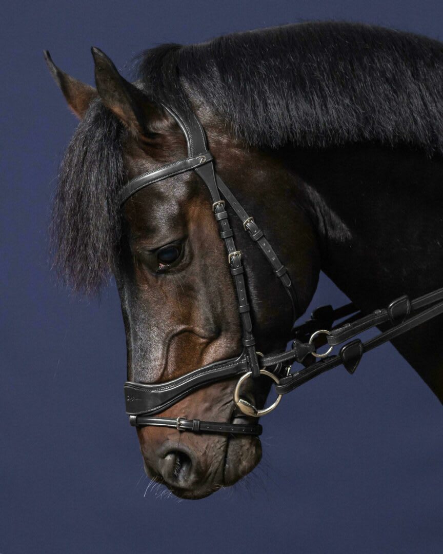 Dyon D Motion Bridle New English Collection - Løwenborg - Dy'on