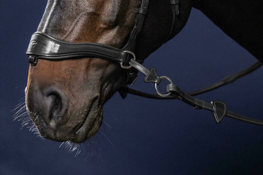 Dyon D Motion Bridle New English Collection - Løwenborg - Dy'on