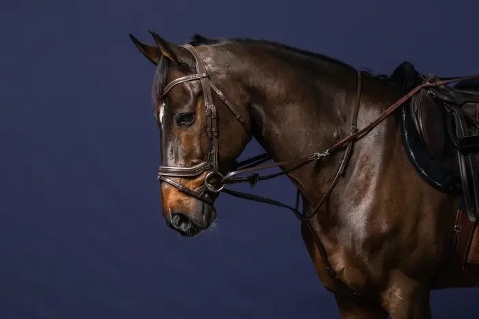 Dyon Full Howlett Working By Dyon - Løwenborg - Dy'on