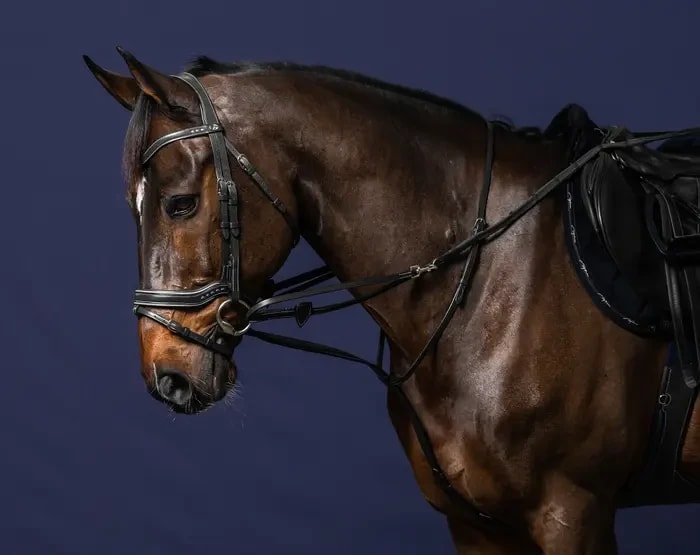 Dyon Full Howlett Working By Dyon - Løwenborg - Dy'on