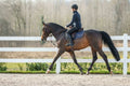 Dyon Gogue Reins Working By Dyon - Løwenborg - Dy'on