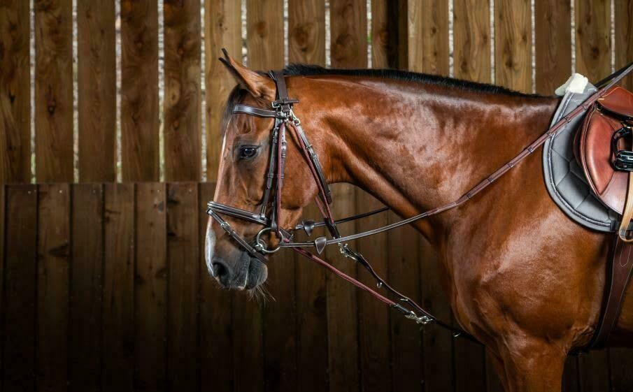 Dyon Gogue Reins Working By Dyon - Løwenborg - Dy'on