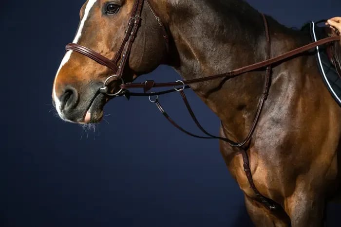 Dyon Running Martingale New English Collection - Løwenborg - Dy'on