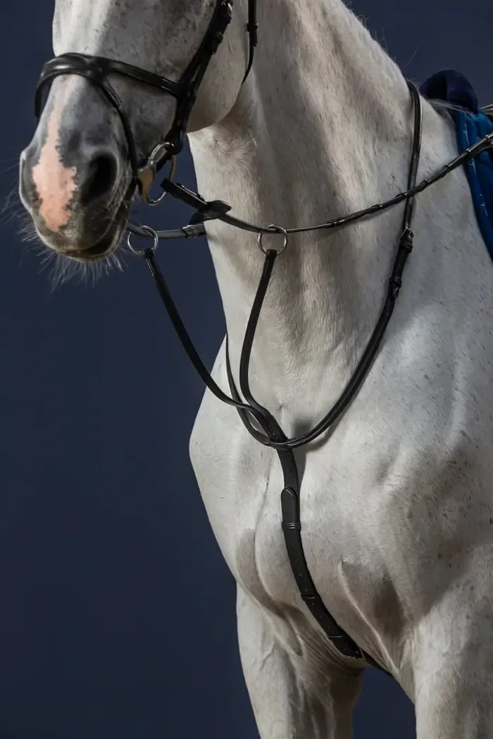 Dyon Running Martingale New English Collection - Løwenborg - Dy'on
