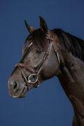 Dyon Flash Noseband Bridle US Collection - Løwenborg - Dy'on