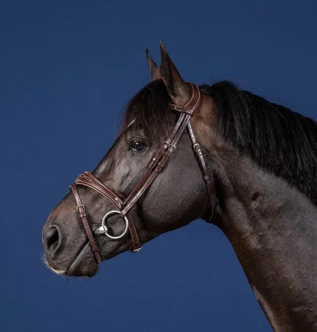 Dyon Anatomic Flash Noseband Bridle US Collection - Løwenborg - Dy'on