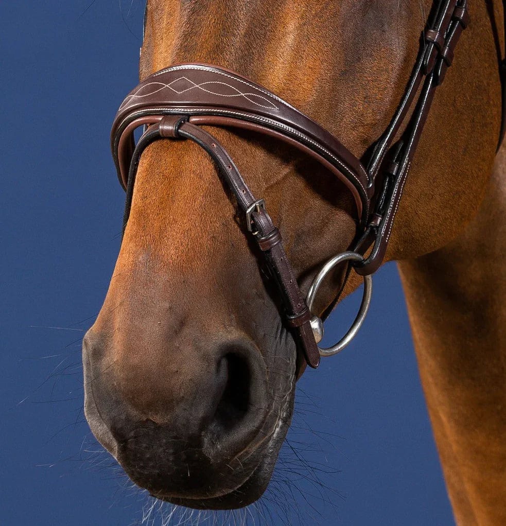 Dyon Anatomic Flash Noseband Bridle US Collection - Løwenborg - Dy'on