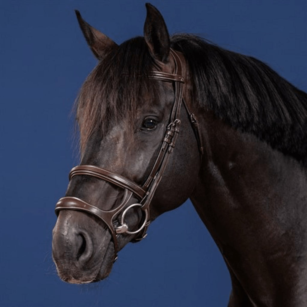 Dyon Double Noseband Bridle US Collection - Løwenborg - Dy'on