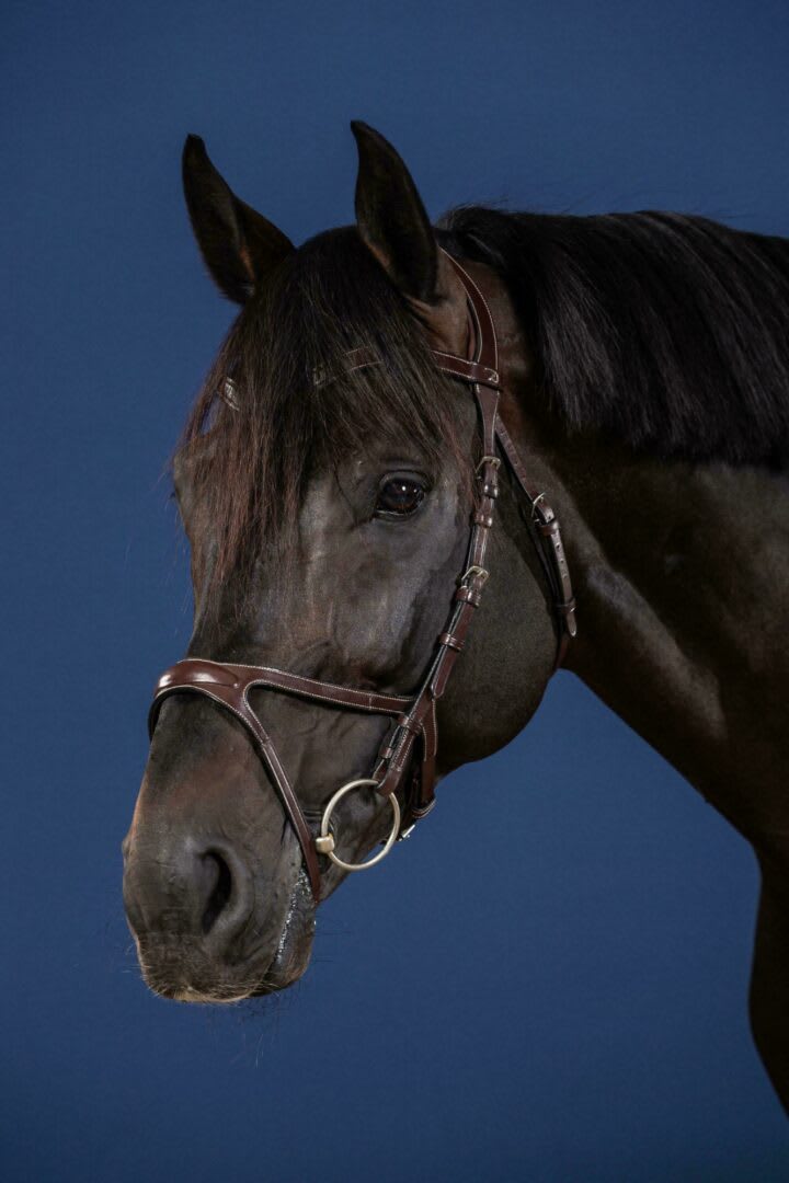 Dyon X - Fit Bridle US Collection - Løwenborg - Dy'on