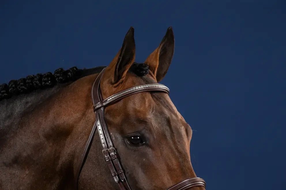 Dyon Silver Clincher Straight Browband US Collection - Løwenborg - Dy'on