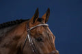 Dyon Silver Clincher Straight Browband US Collection - Løwenborg - Dy'on