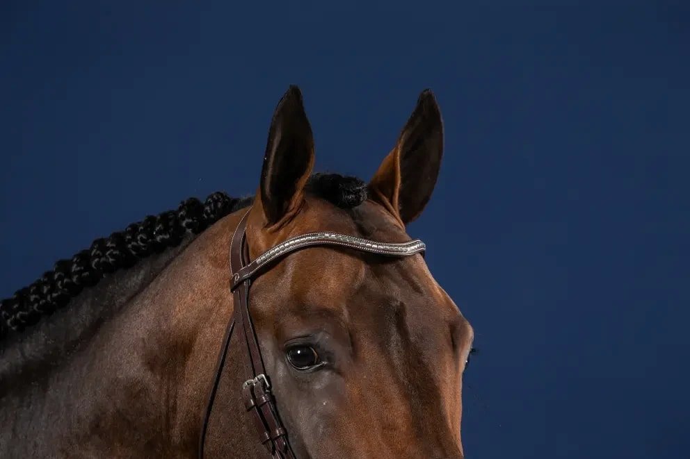 Dyon Silver Clincher V - Shaped Browband US Collection - Løwenborg - Dy'on