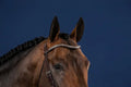 Dyon Silver Clincher V - Shaped Browband US Collection - Løwenborg - Dy'on