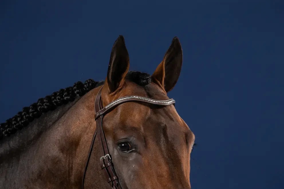 Dyon Silver Clincher V-Shaped Browband US Collection