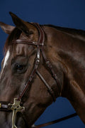 Dyon Hackamore Cheekpieces US Collection - Løwenborg - Dy'on