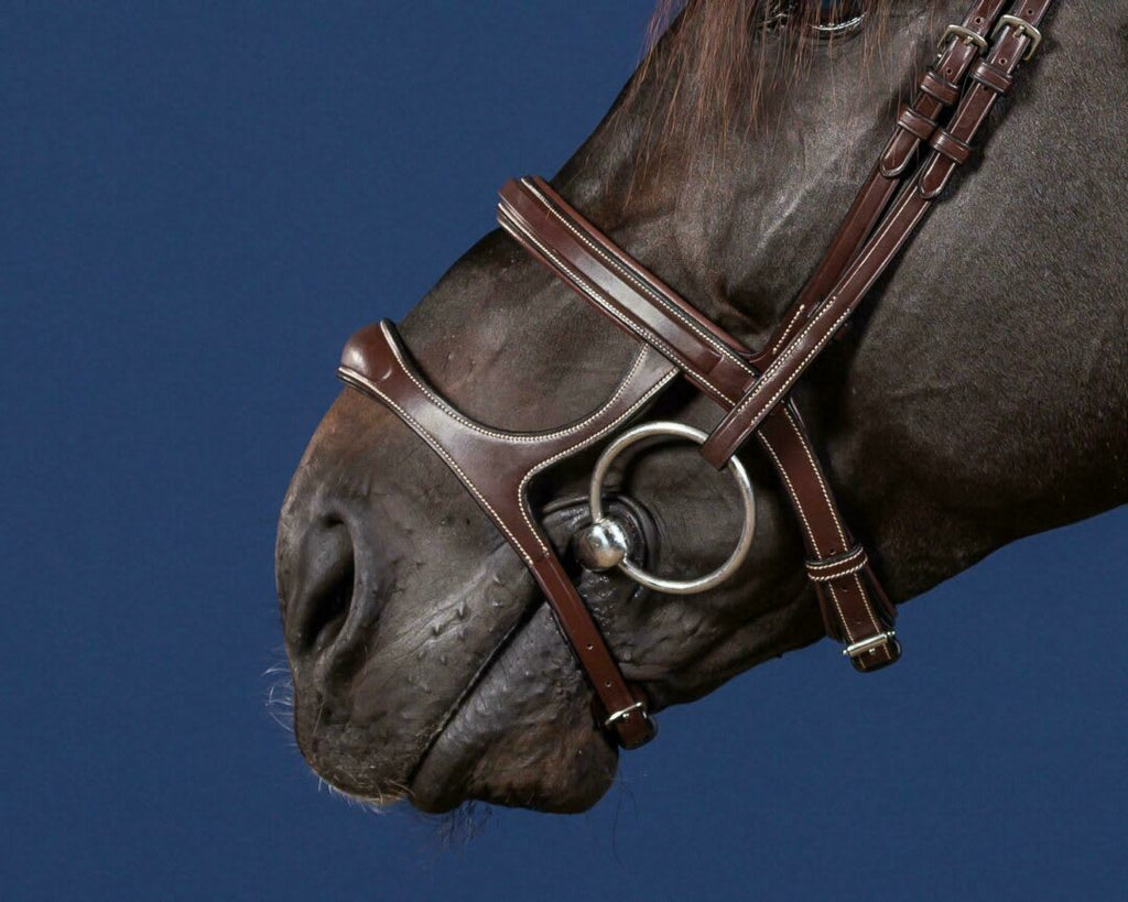 Dyon Double Noseband US Collection - Løwenborg - Dy'on
