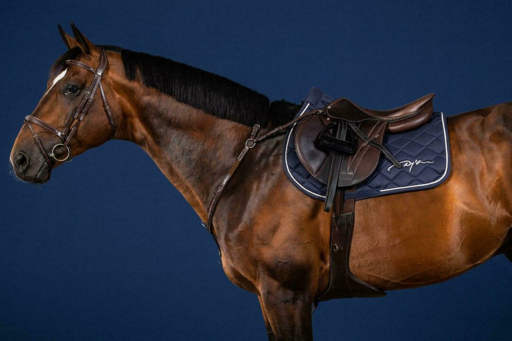 Dyon Bridge Breastplate US Collection - Løwenborg - Dy'on