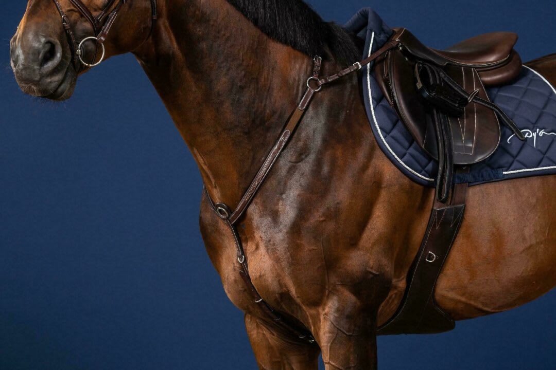 Dyon Bridge Breastplate US Collection