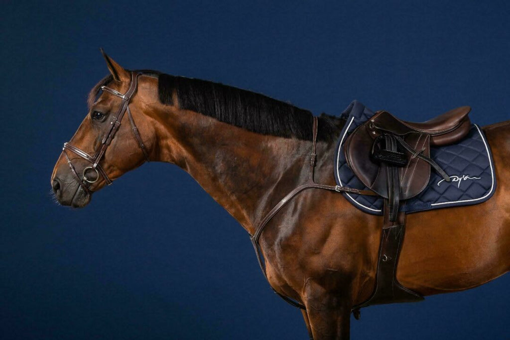 Dyon Long Bridge Breastplate US Collection - Løwenborg - Dy'on