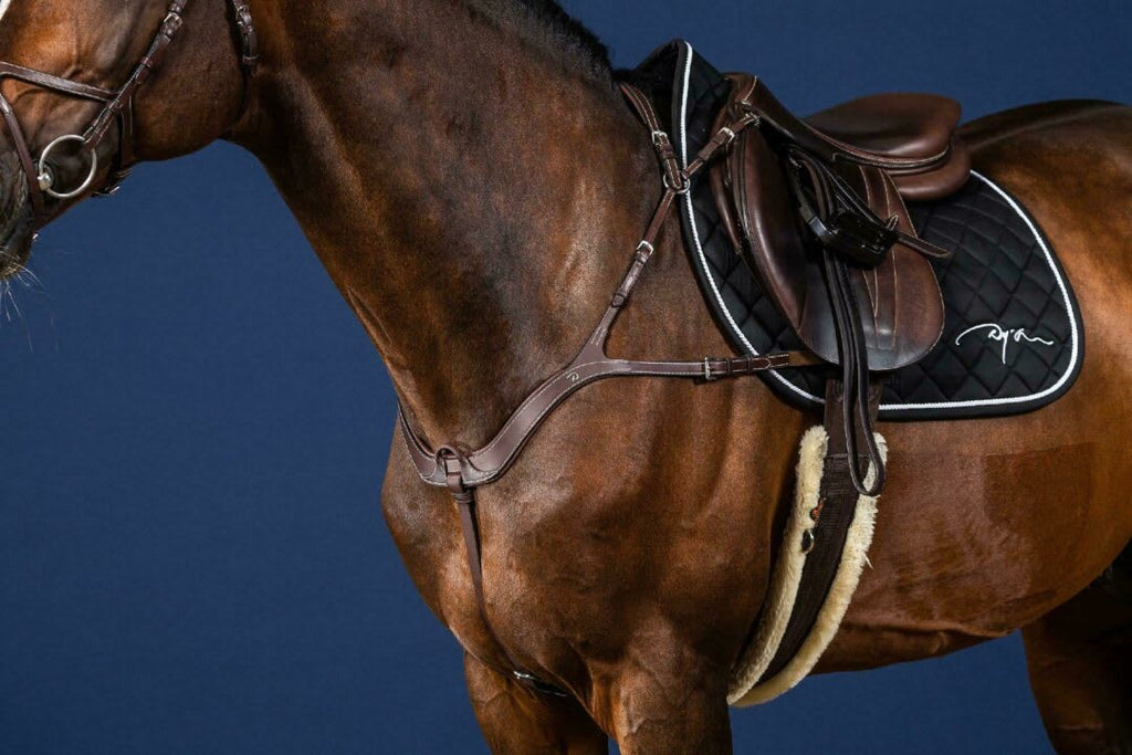 Dyon Anatomical Breastplate US Collection - Løwenborg - Dy'on