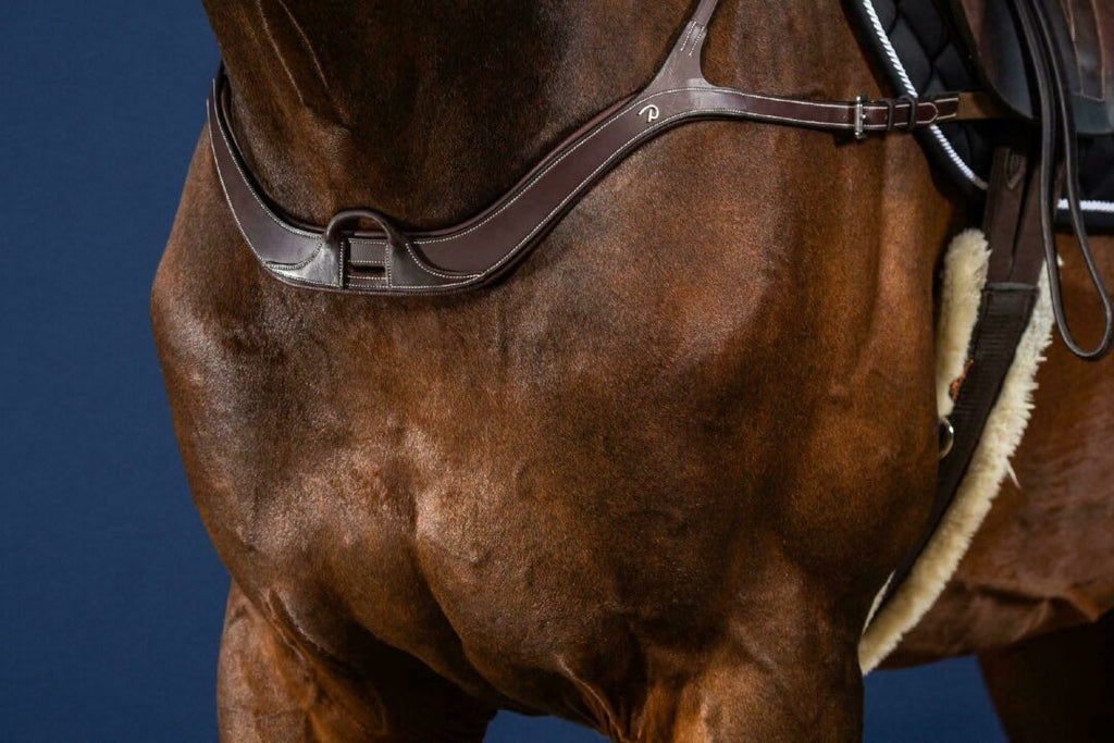 Dyon Anatomical Breastplate US Collection - Løwenborg - Dy'on
