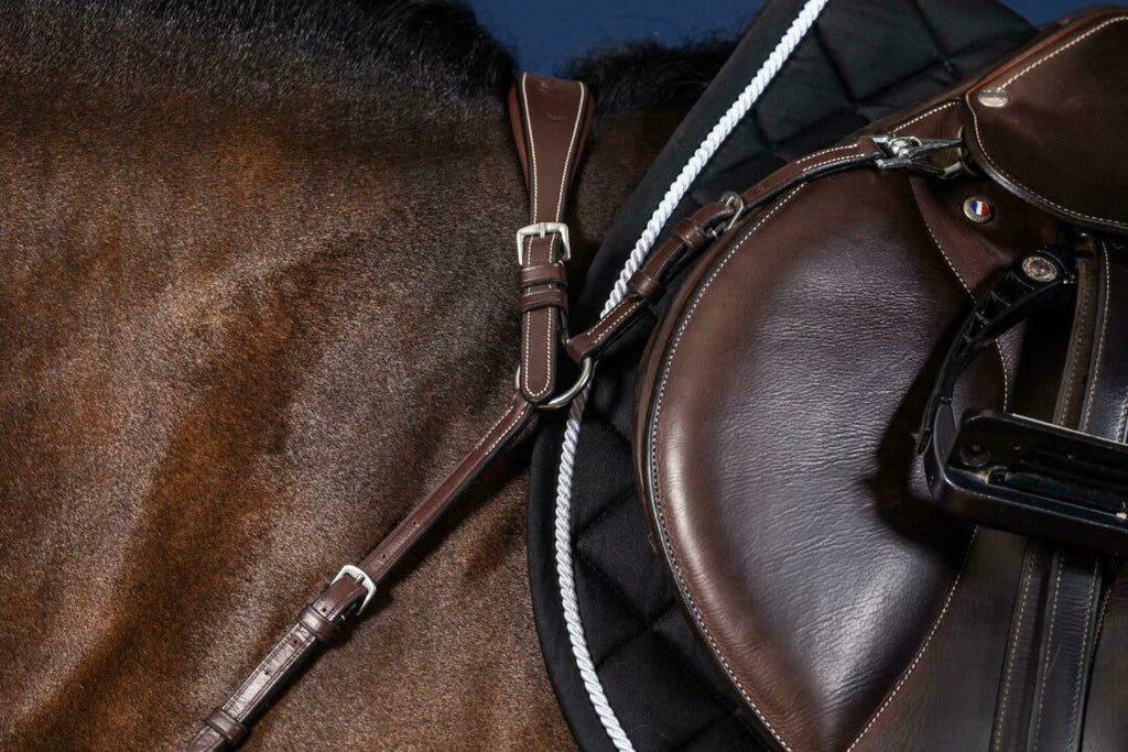 Dyon Anatomical Breastplate US Collection - Løwenborg - Dy'on