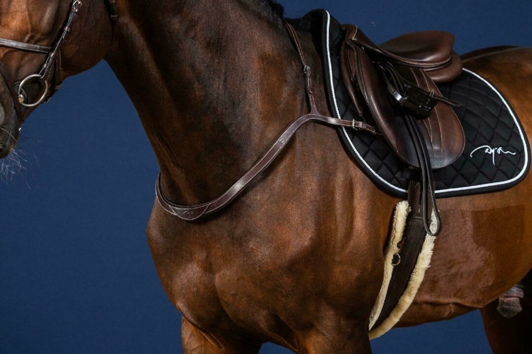 Dyon Breast Collar US Collection - Løwenborg - Dy'on