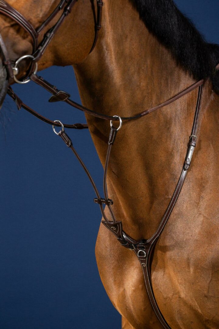 Dyon Elastic Running Martingale Attachment US Collection - Løwenborg - Dy'on