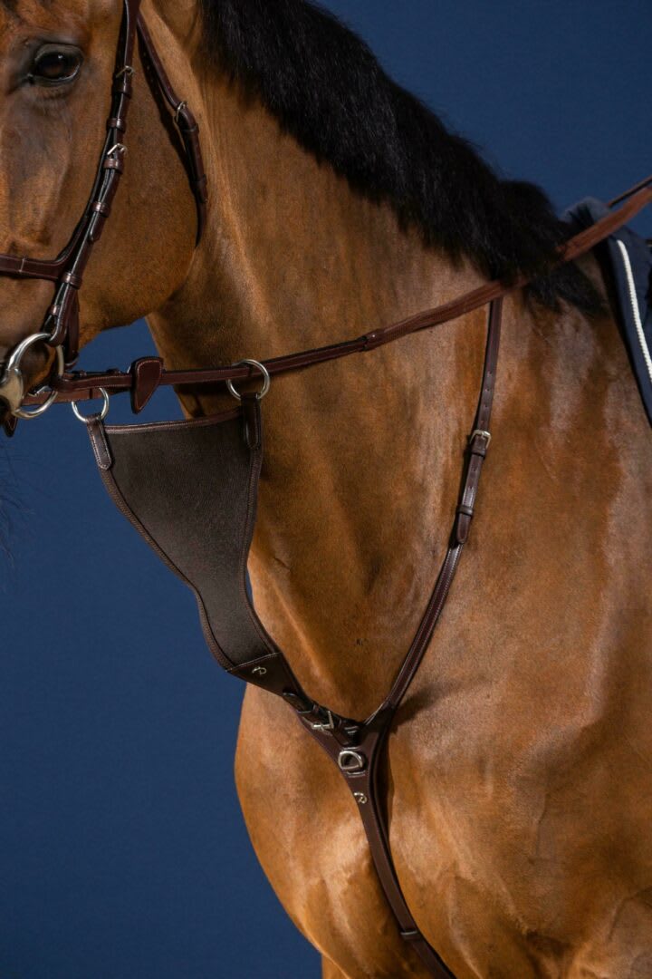Dyon Elastic BIB Martingale Attachment New English Collection - Løwenborg - Dy'on